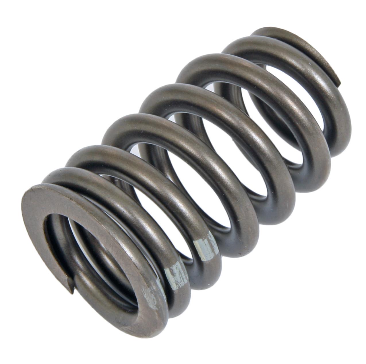 Summit Racing SUM-174002 Summit Racing™ Valve Springs - Zander Auto Parts