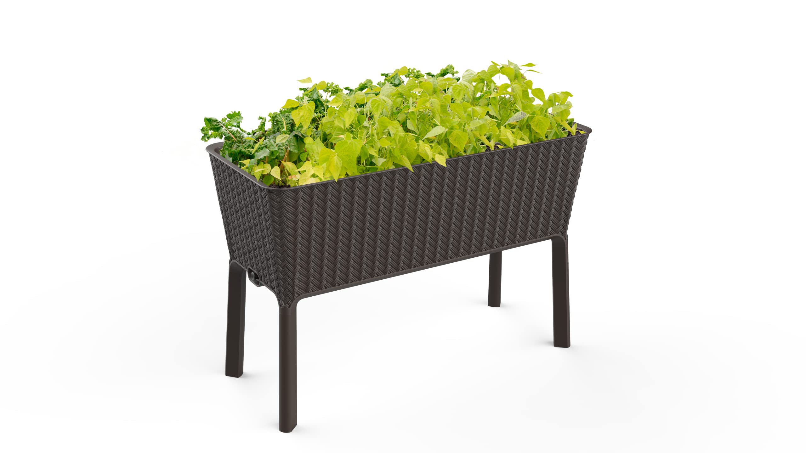 Keter Splendor Gallon Raised Garden - Zander Auto Parts